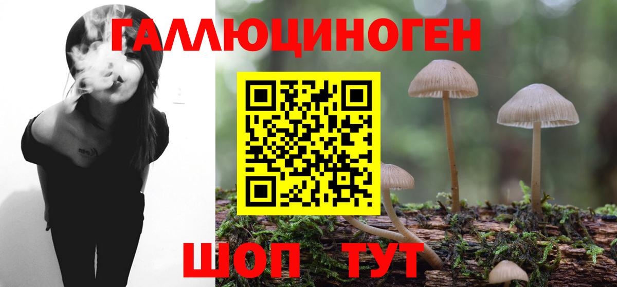 как найти наркотики  Вход с VPN  Миллерово  Псилоцибиновые грибы прущие грибы 
