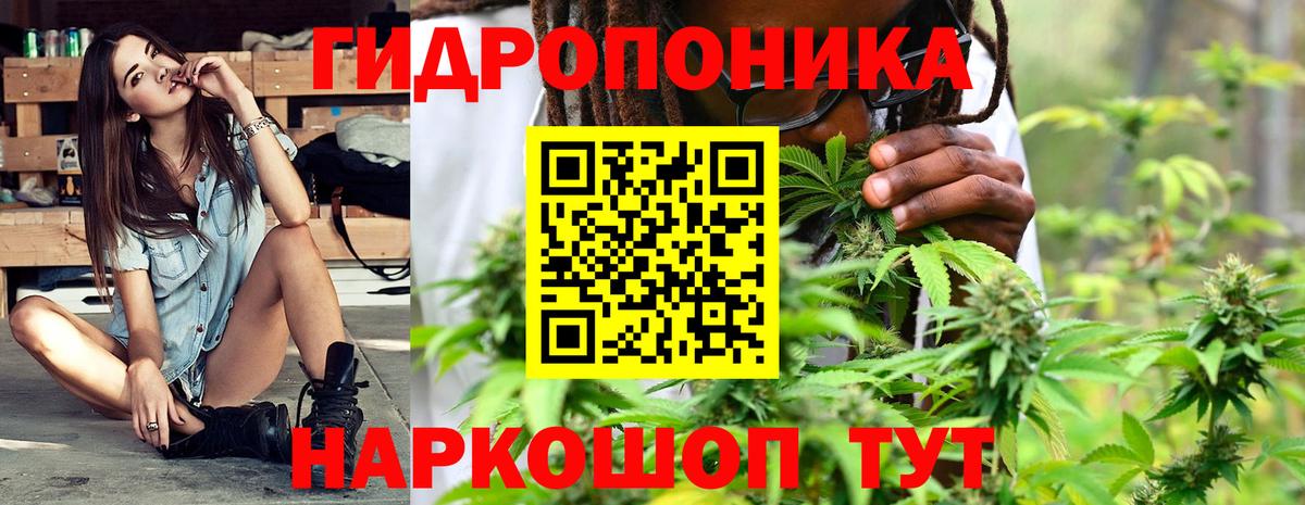 Канабис семена  Вход с VPN  Каннабис индика  Миллерово  Шишки марихуана MAZAR 